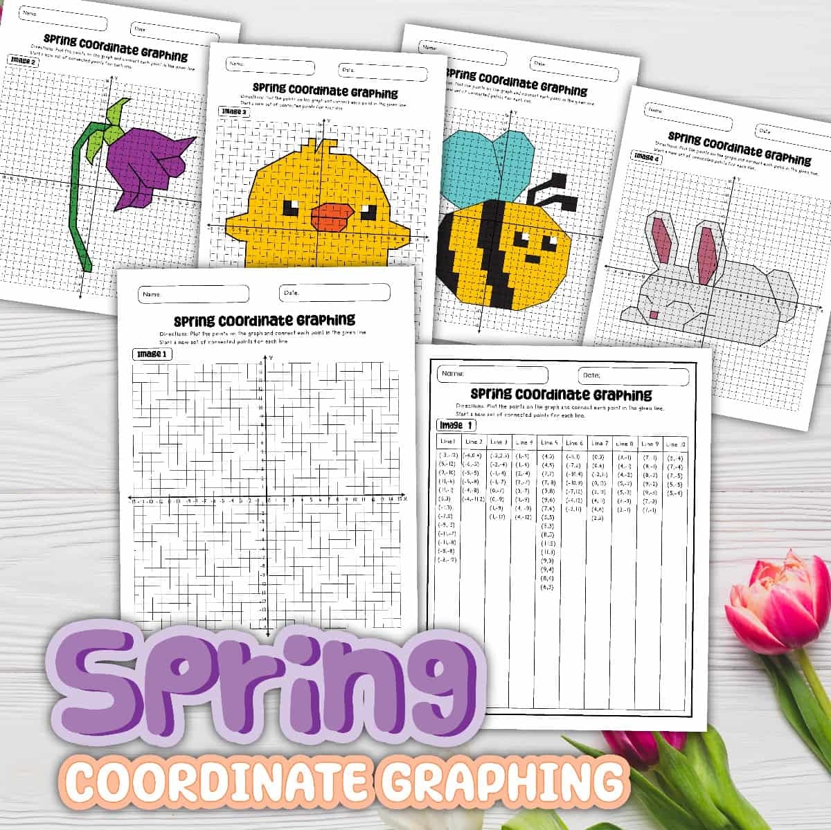 Free Printable Coordinate Graphing Pictures