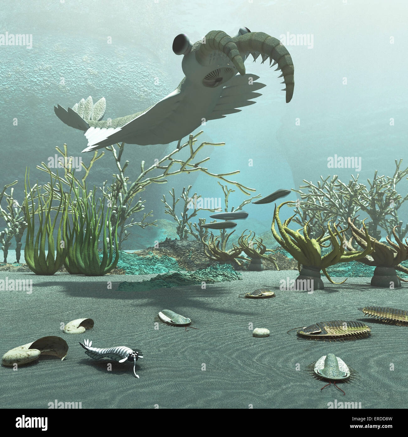Free Printable Cambrian Period Images