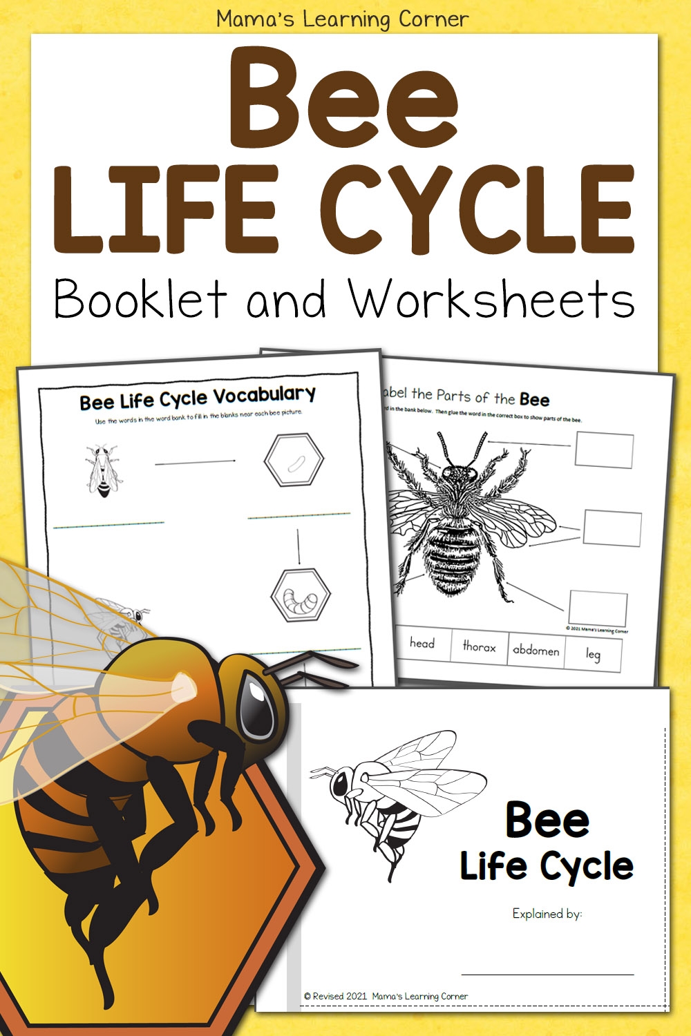 Free Printable Bee Life Cycle Worksheets