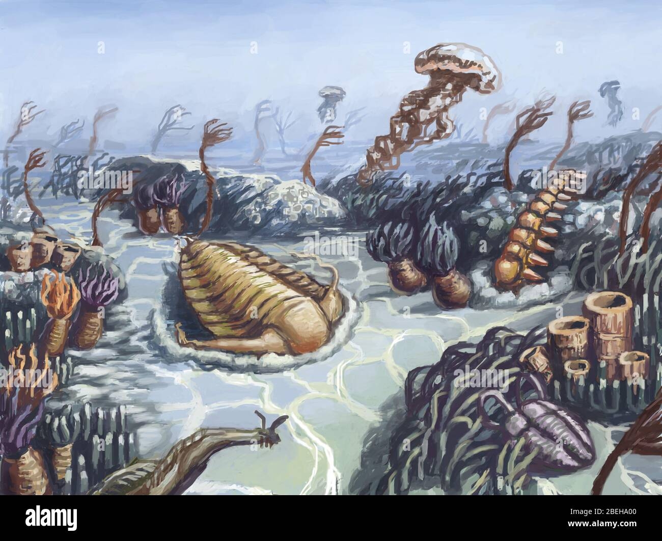 Cambrian Period Illustration Hi res Stock Photography And Images Alamy