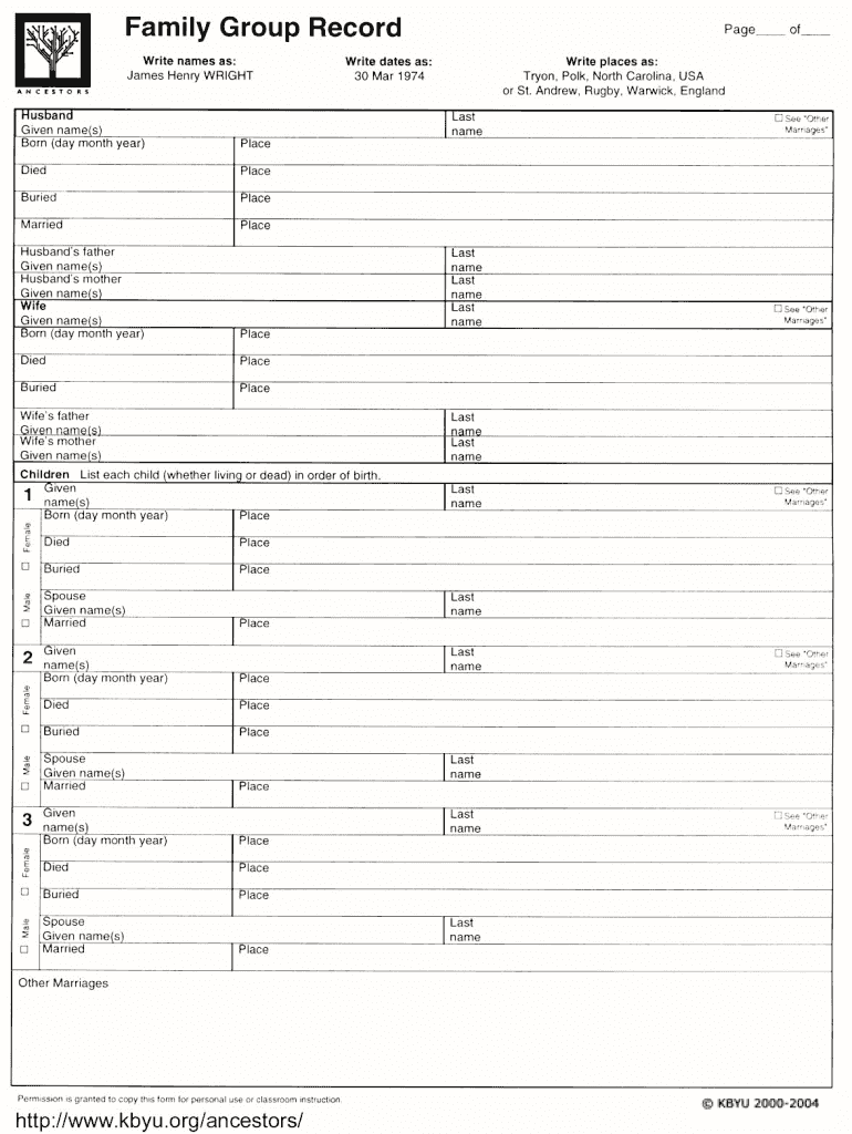 Family Group Record Form Fill Online Printable Fillable Blank PdfFiller