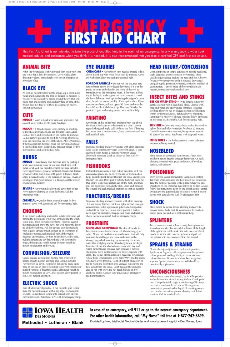 Free Printable First Aid Guide