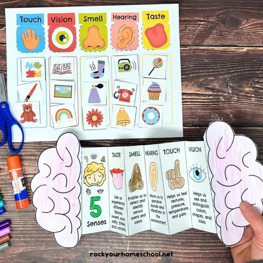 Five Senses Kindergarten Free Printables