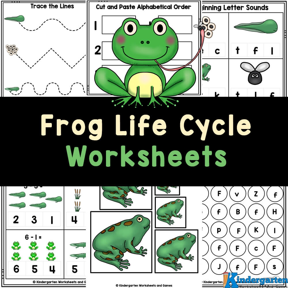 Free Printable Frog Worksheets For Preschool