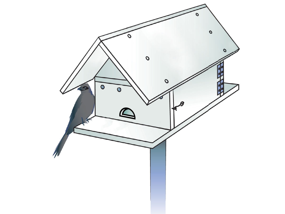 Free Printable Purple Martin House Plans