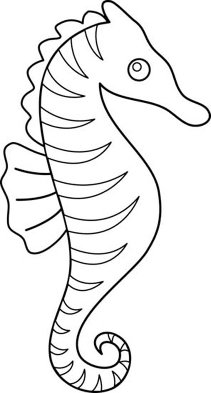 Printable Seahorse Coloring Pages PDF