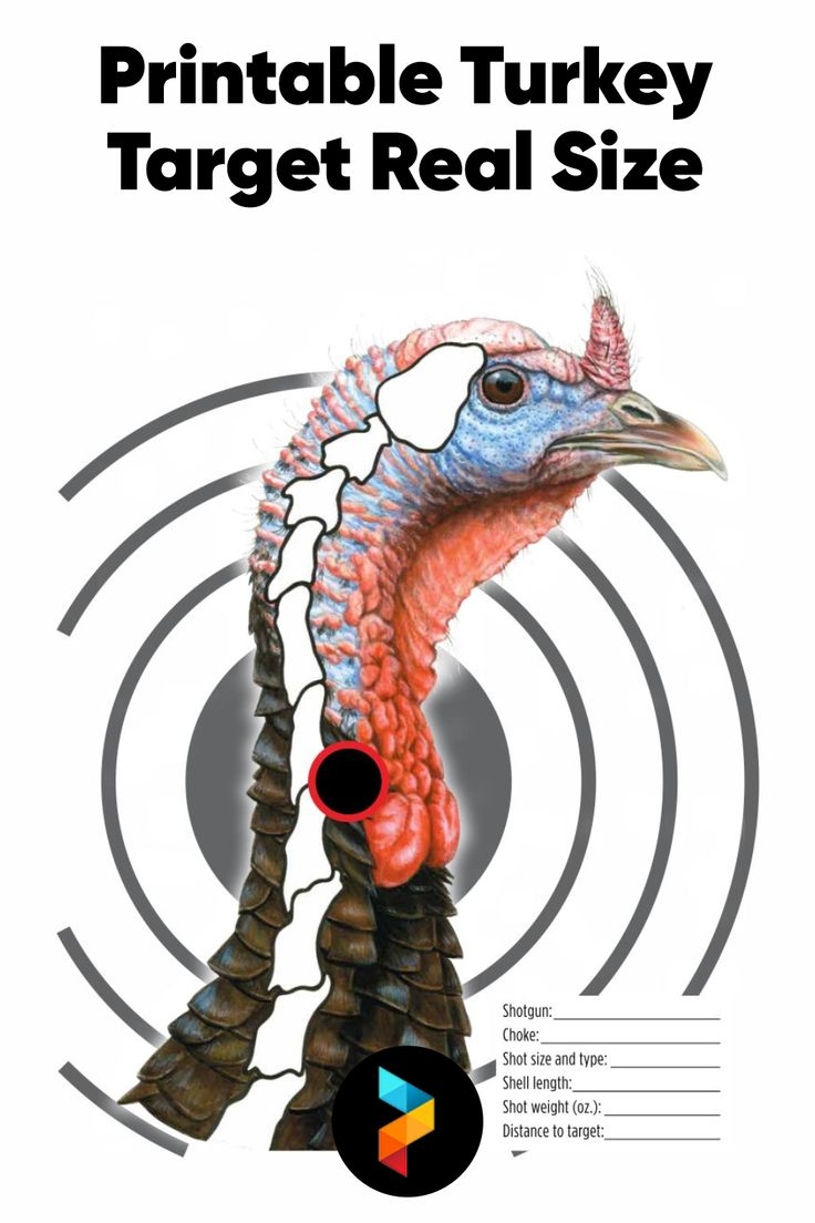 Free Printable Turkey Shoot Targets
