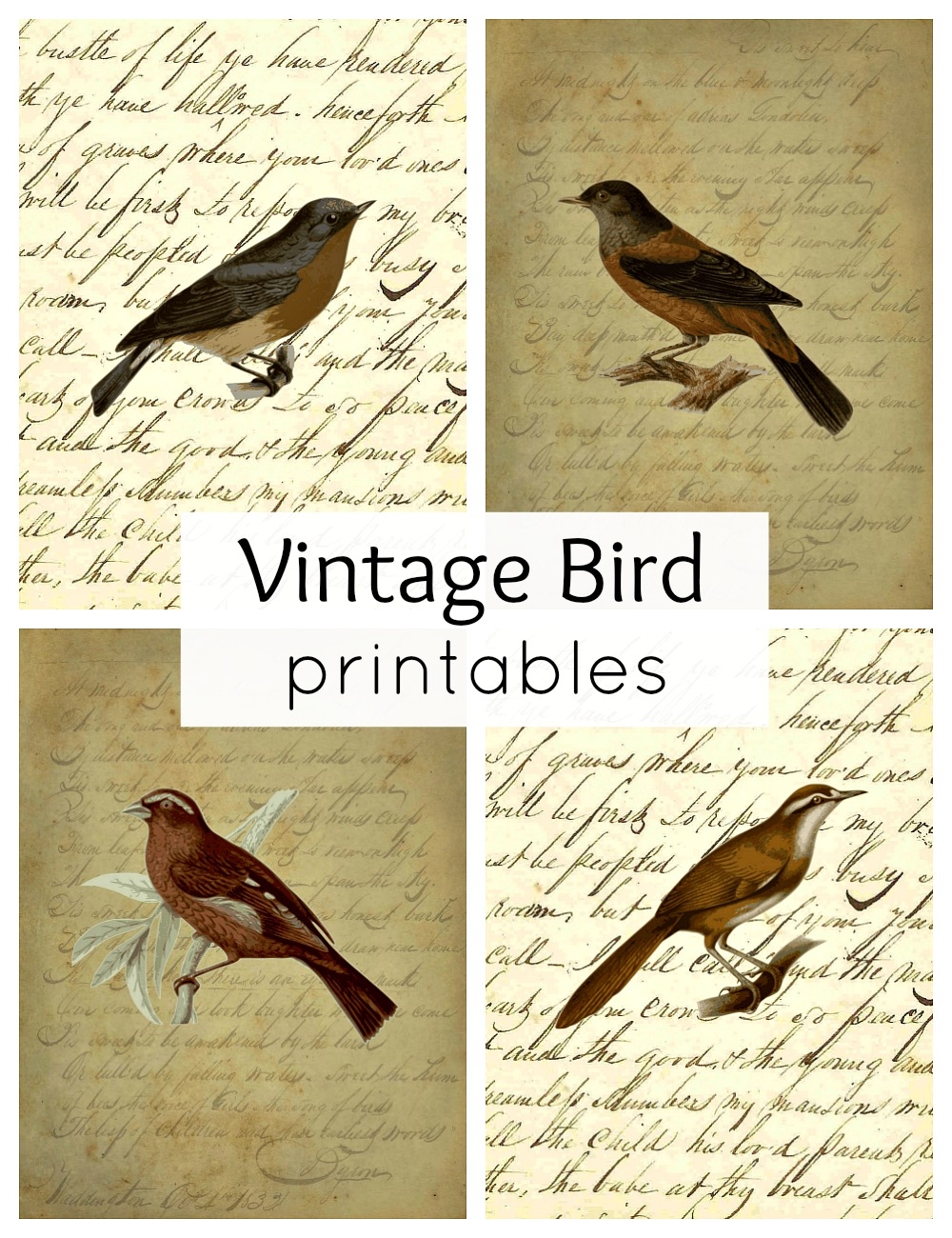 Vintage Bird Printables For Fall Town Country Living